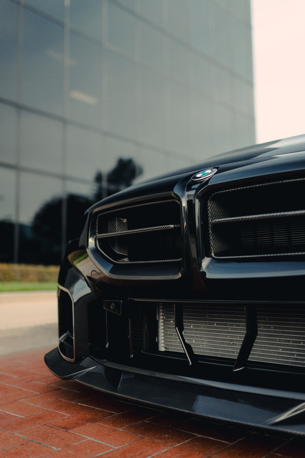 ALPHA N STYLE CARBON FIBER FRONT GRILLES FOR BMW G87 M2