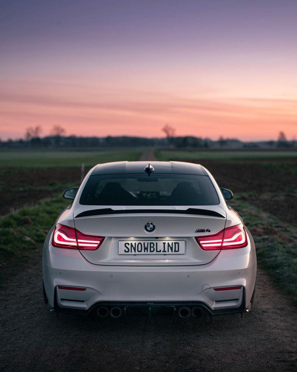CS STYLE CARBON FIBER TRUNK SPOILER FOR BMW F82 F83 M4