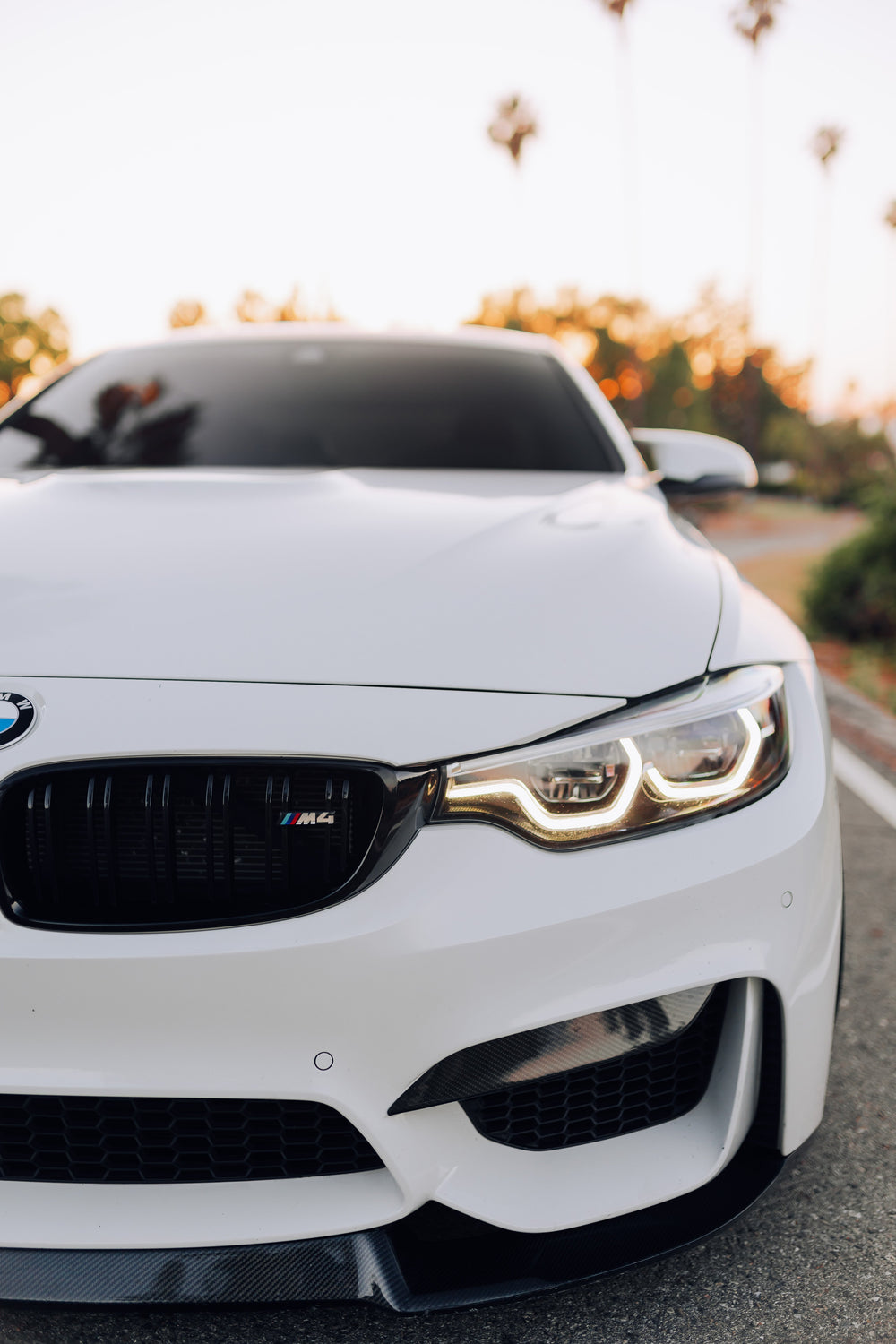 Carbonfaser-Frontsplitter oben - BMW F80 M3 und F82/F83 M4