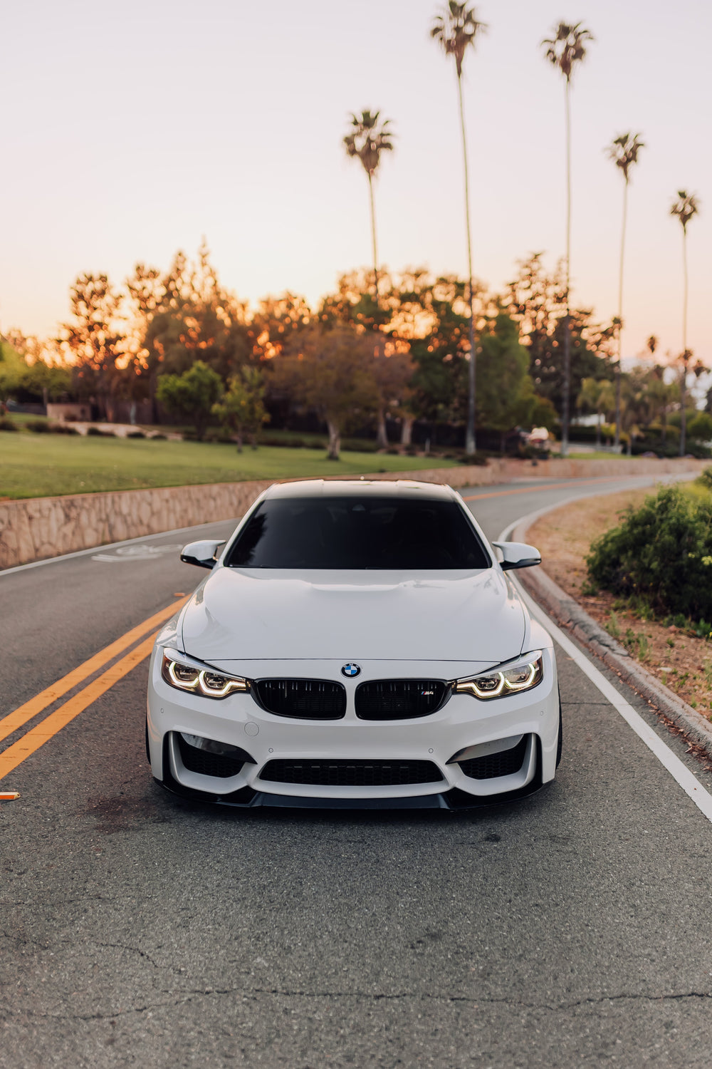Carbonfaser-Frontsplitter oben - BMW F80 M3 und F82/F83 M4