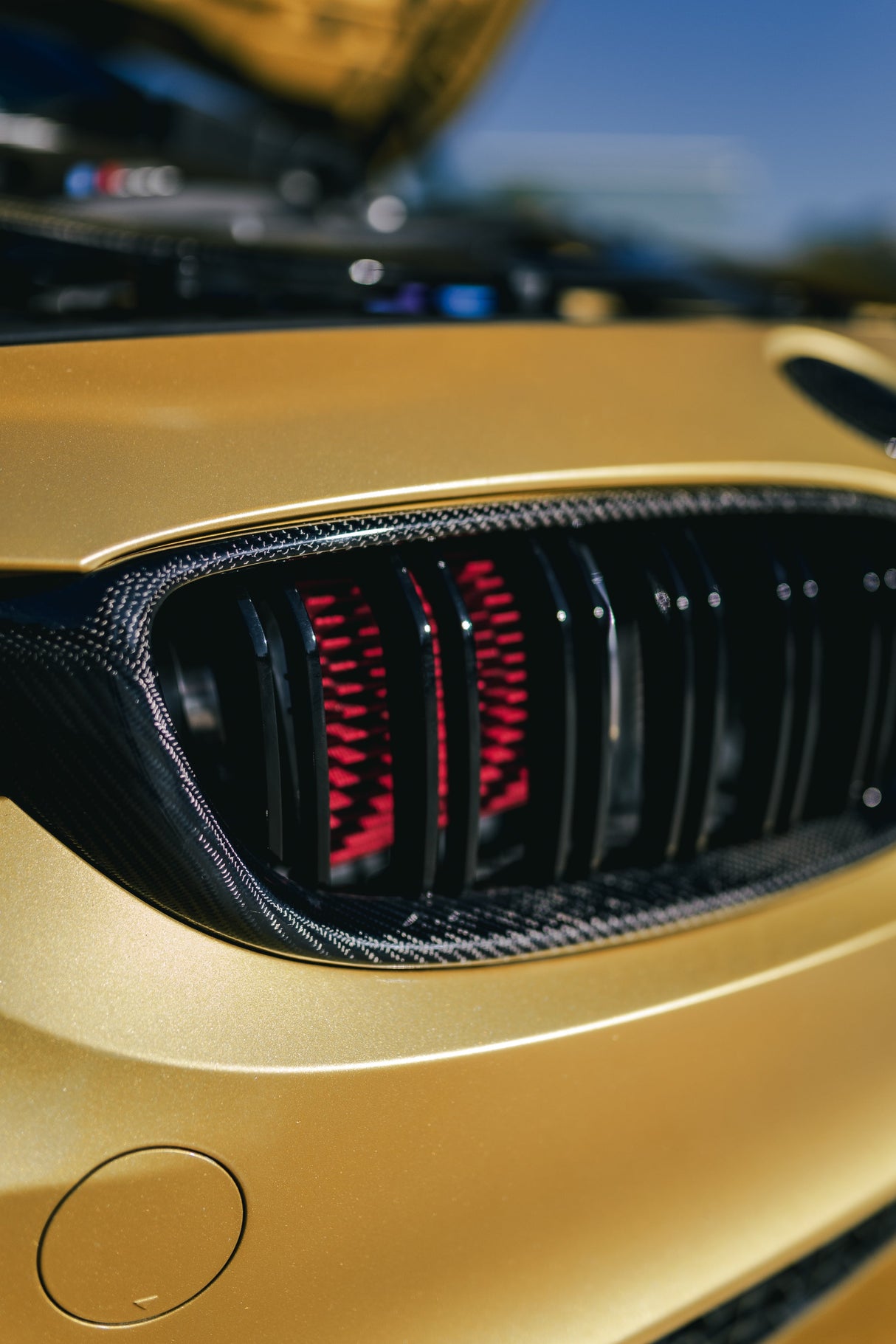 DUAL SLAT FRONT GRILLES FOR BMW F82/F83 M4