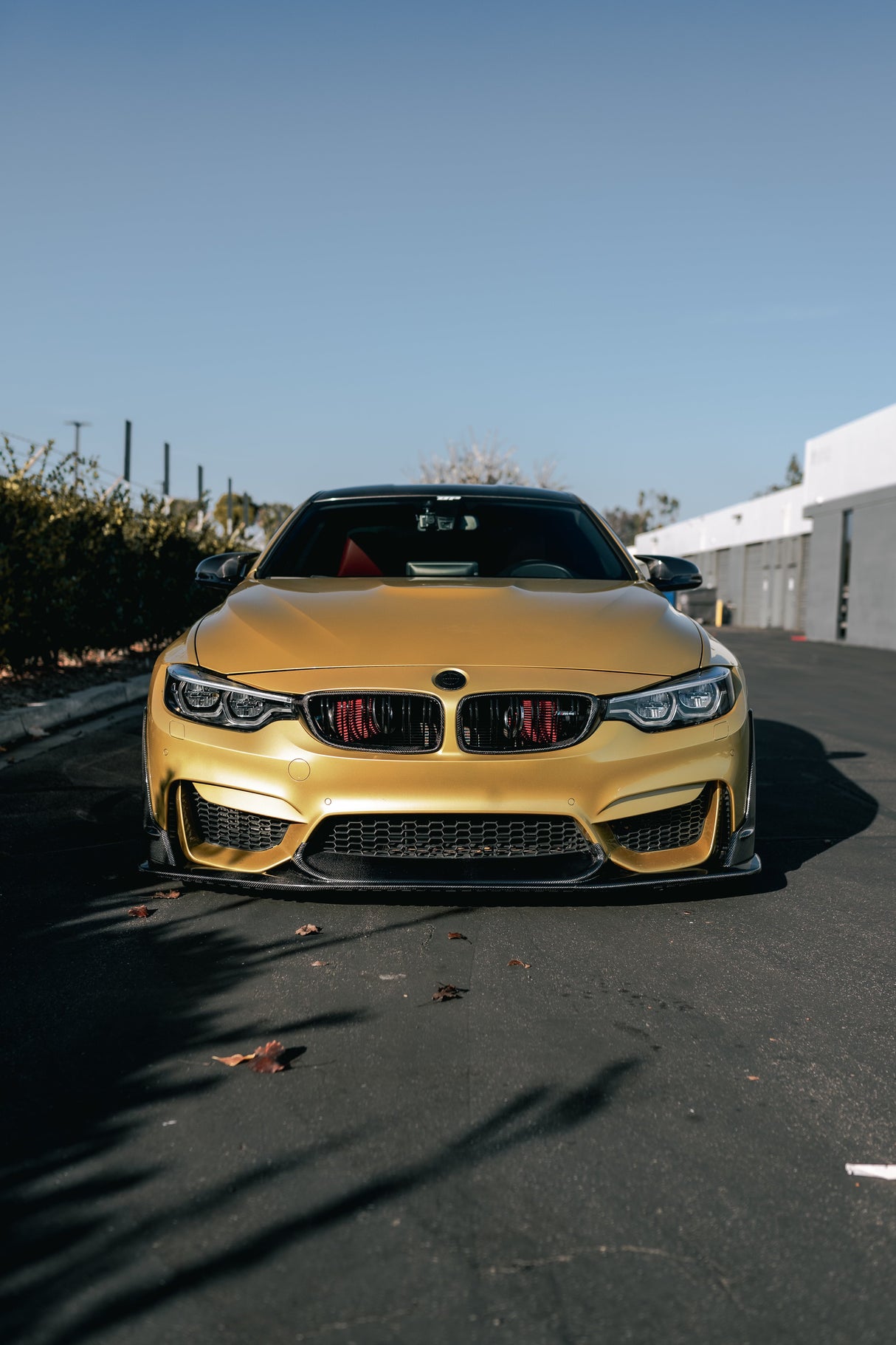 LAPTOR STYLE CARBON FIBER FRONT LIP FOR BMW F80 M3 / F82 F83 M4