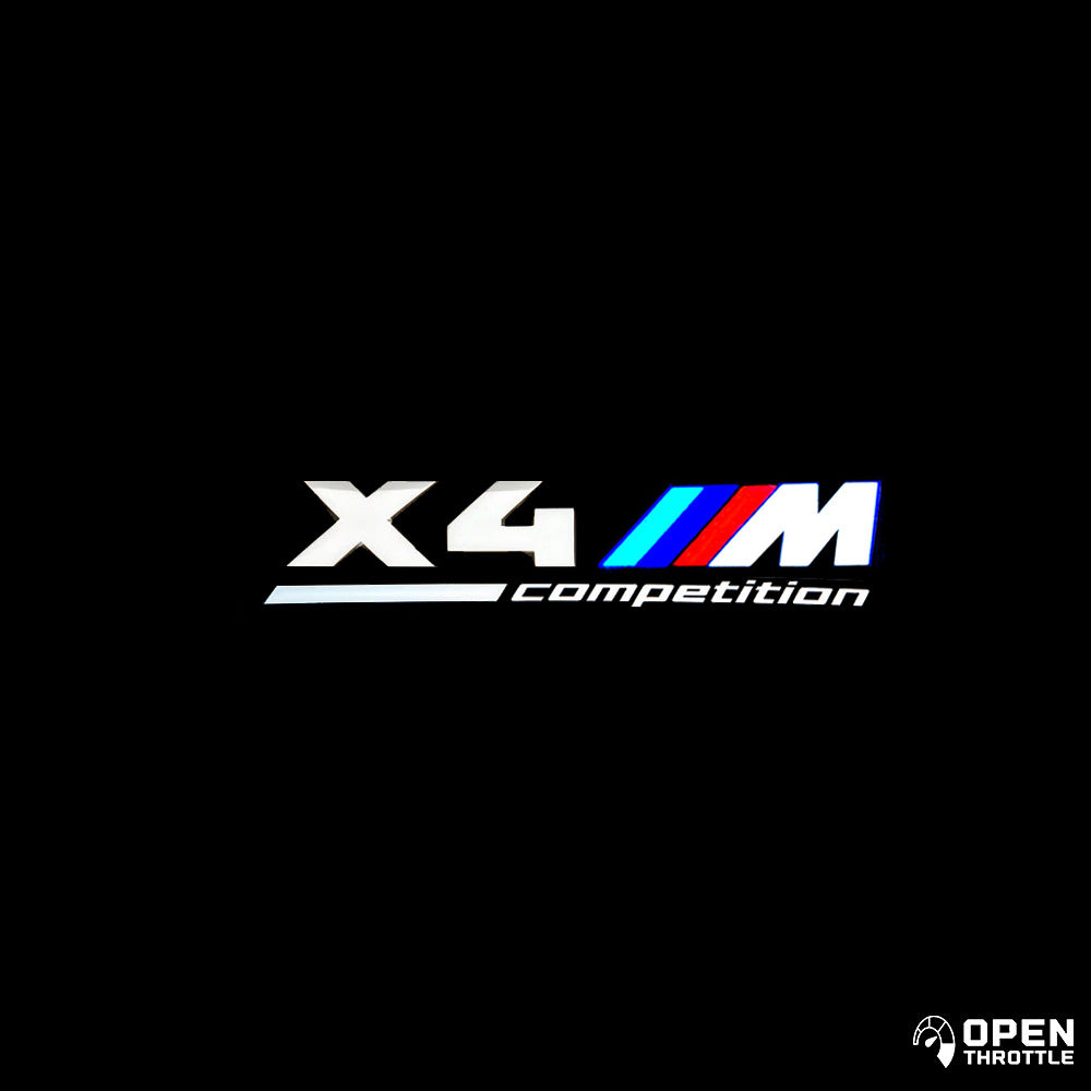 BMW LED DOOR LIGHTS (T)