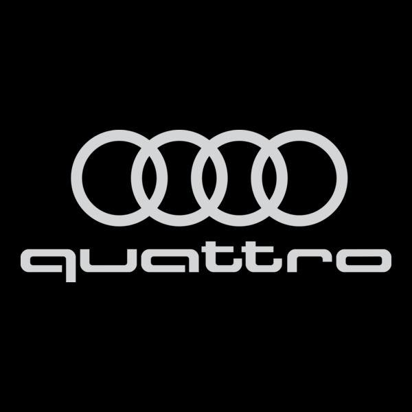 CUSTOM INDOOR CAR COVER FOR AUDI