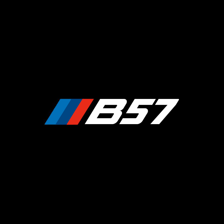 BMW ENGINE CODE DOOR LIGHTS