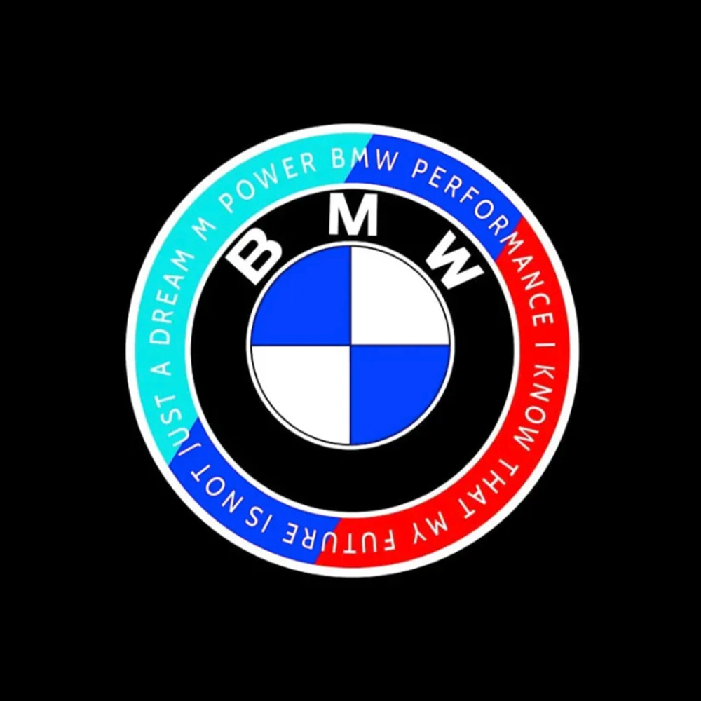 BMW LED DOOR LIGHTS (T)