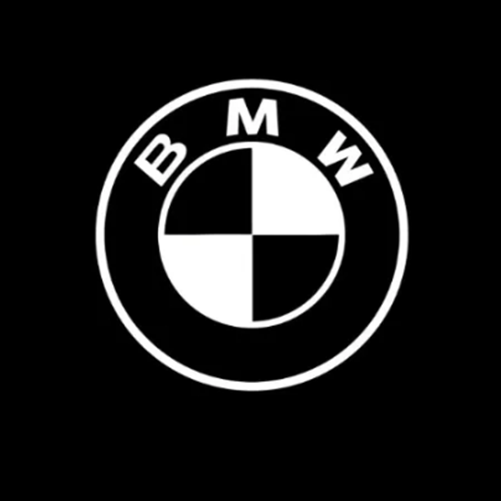 BMW LED DOOR LIGHTS (T)