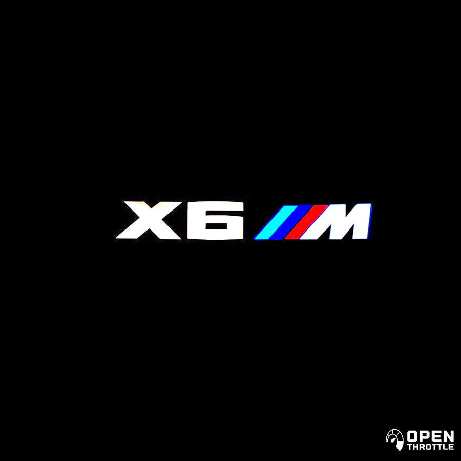 BMW LED DOOR LIGHTS (T)