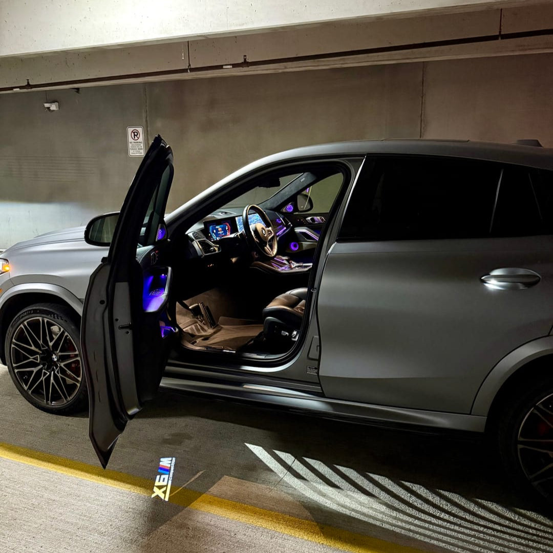 BMW LED DOOR LIGHTS (T)