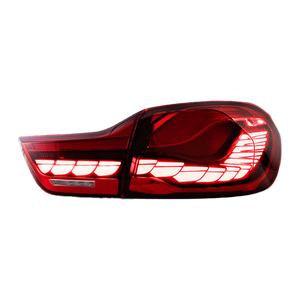 TAIL LIGHTS