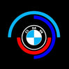 BMW LED DOOR LIGHTS (T)