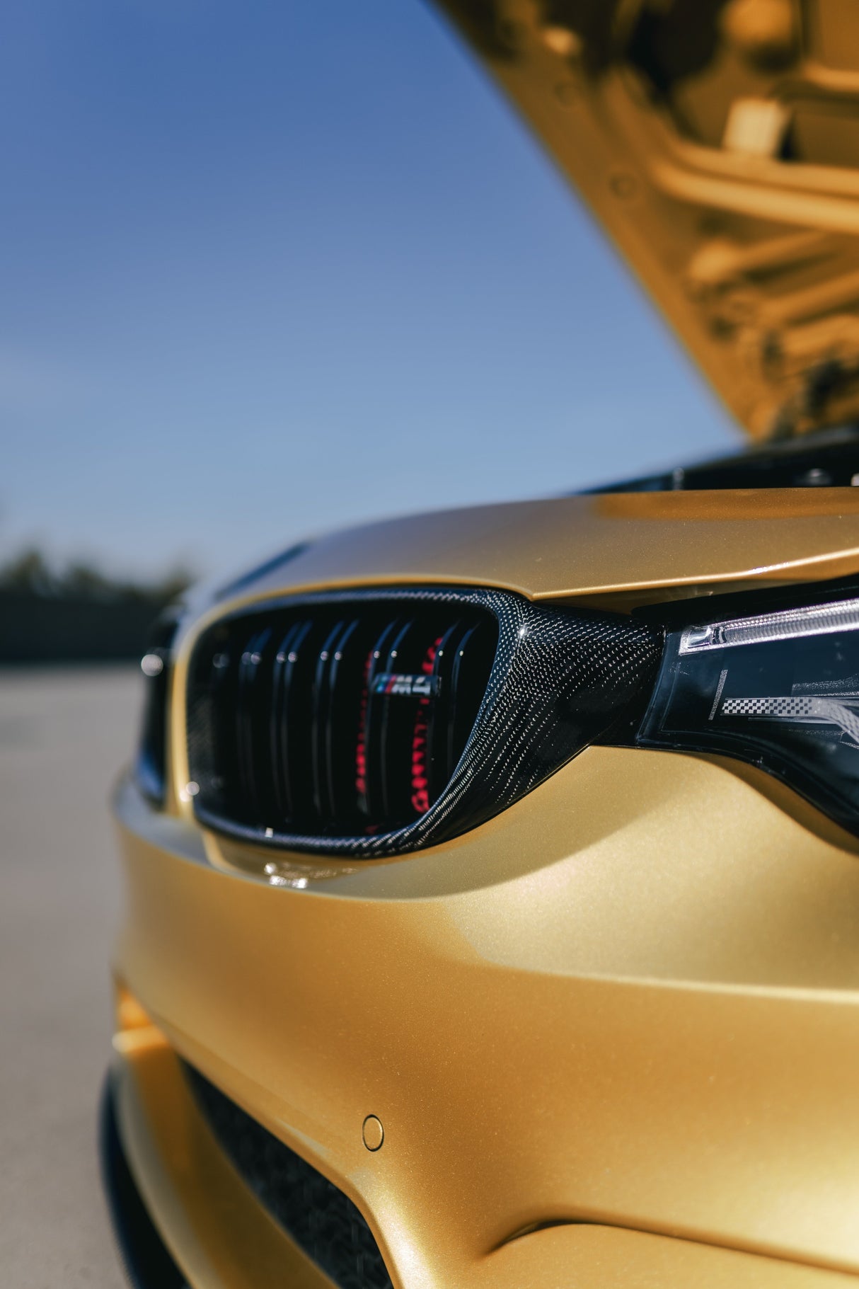 DUAL SLAT FRONT GRILLES FOR BMW F82/F83 M4