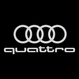 CUSTOM INDOOR CAR COVER FOR AUDI