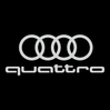 CUSTOM INDOOR CAR COVER FOR AUDI