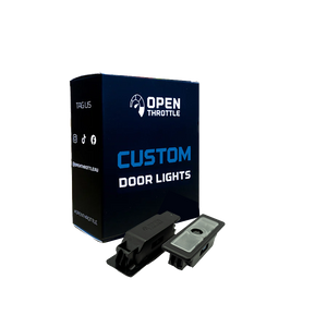 CUSTOM DOOR LIGHT